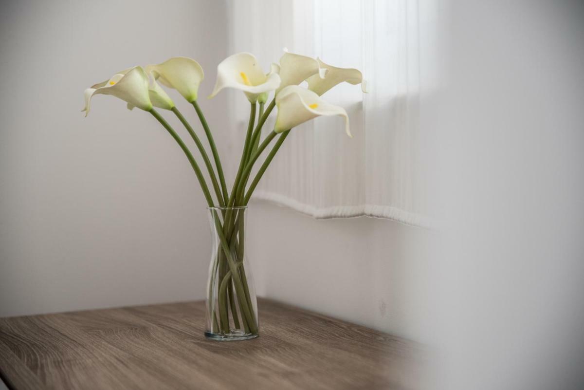 Terrazzo Siciliano Appartement Riposto Buitenkant foto